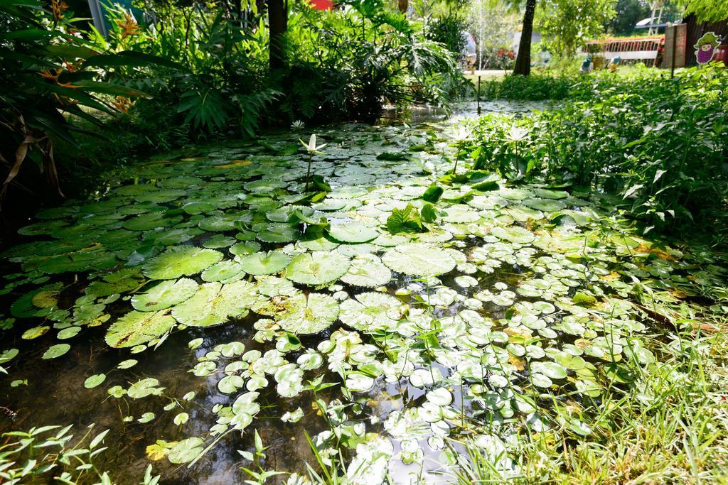 Fairy Story Village Farm B&B دونغشان المظهر الخارجي الصورة